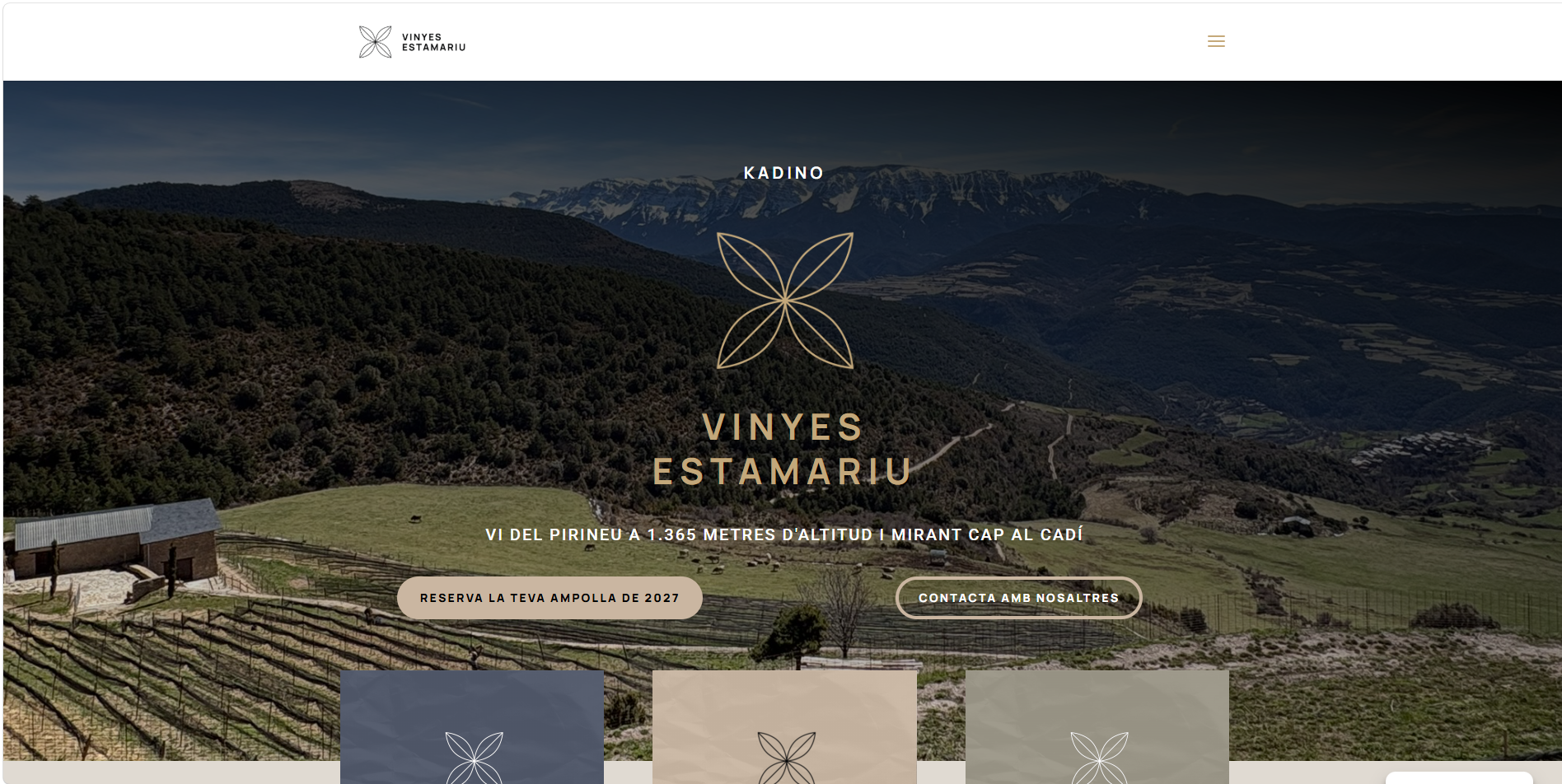 Web de Vinyes Estamariu